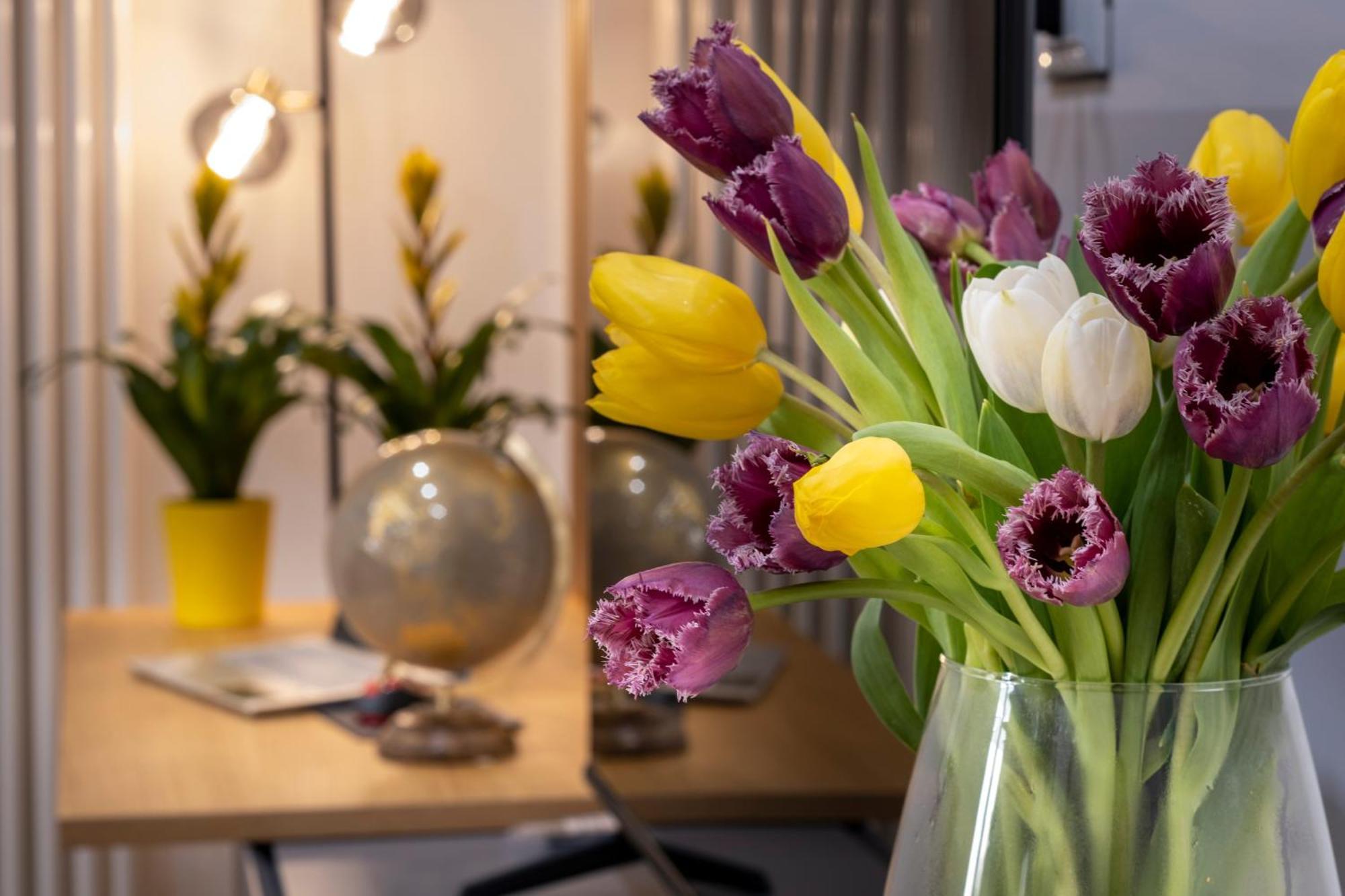 Ducrot Apartment パレルモ エクステリア 写真